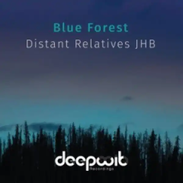 Distant Relatives JHB - Insignia (Original Mix)